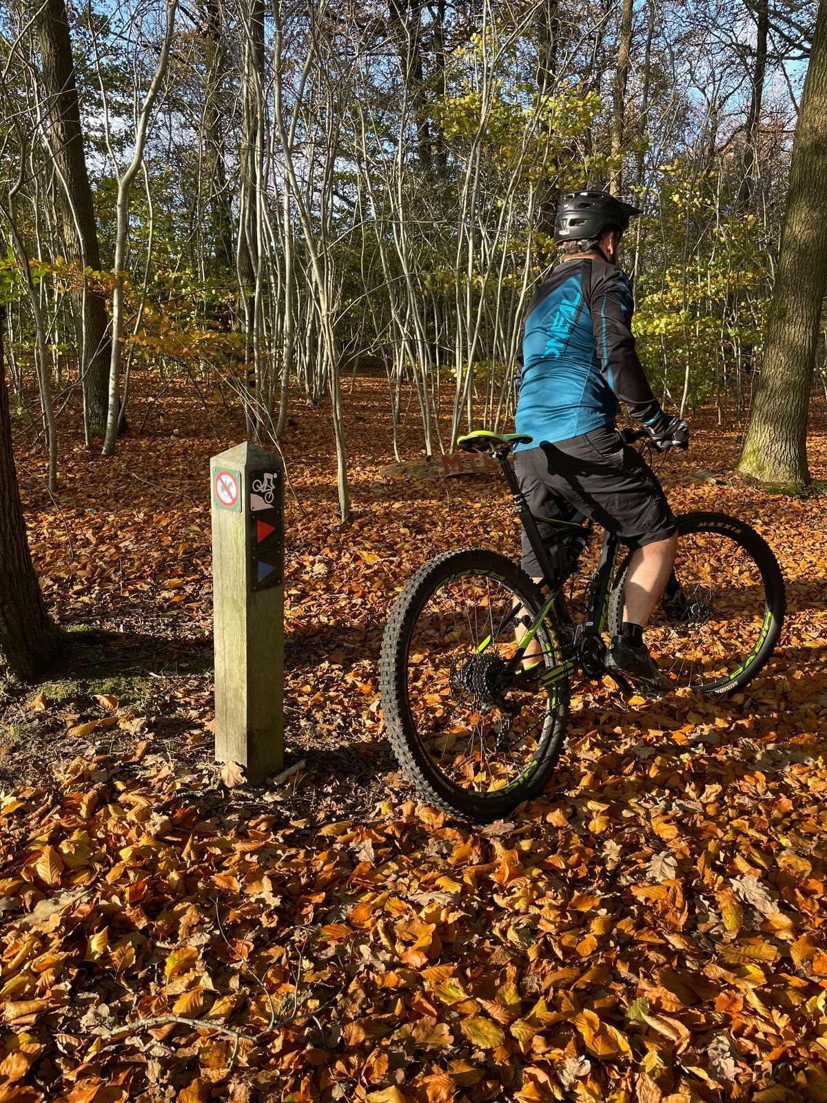 Ansager Blå MTB rute udinaturen dk