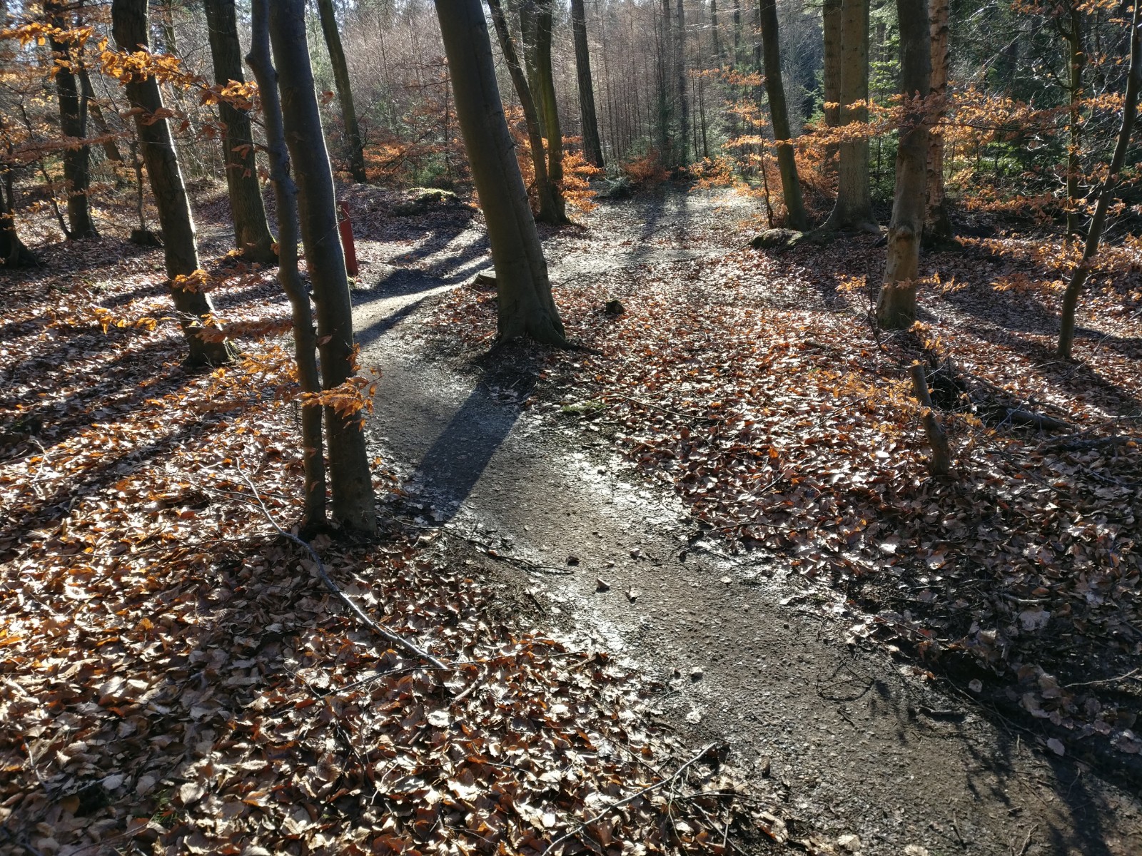 MTB Rute I Undallslund 8 4 Km Udinaturen Dk