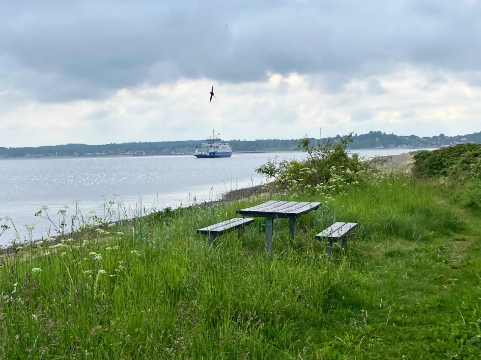 Rasteplads ved badested ved Sundsøre