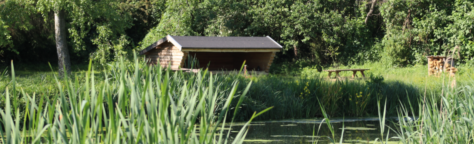 Nellemose Shelterplads – miniature 1