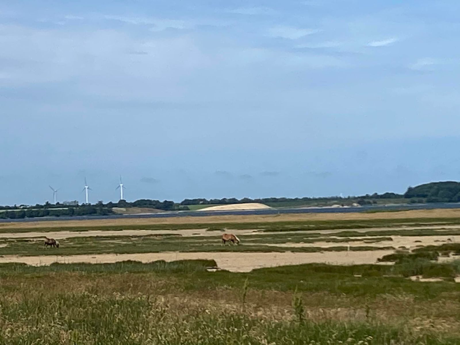 Muslinge Ruten