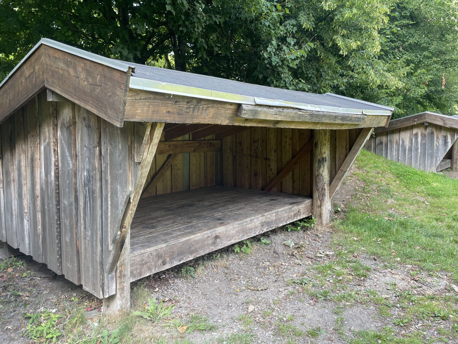 Shelter