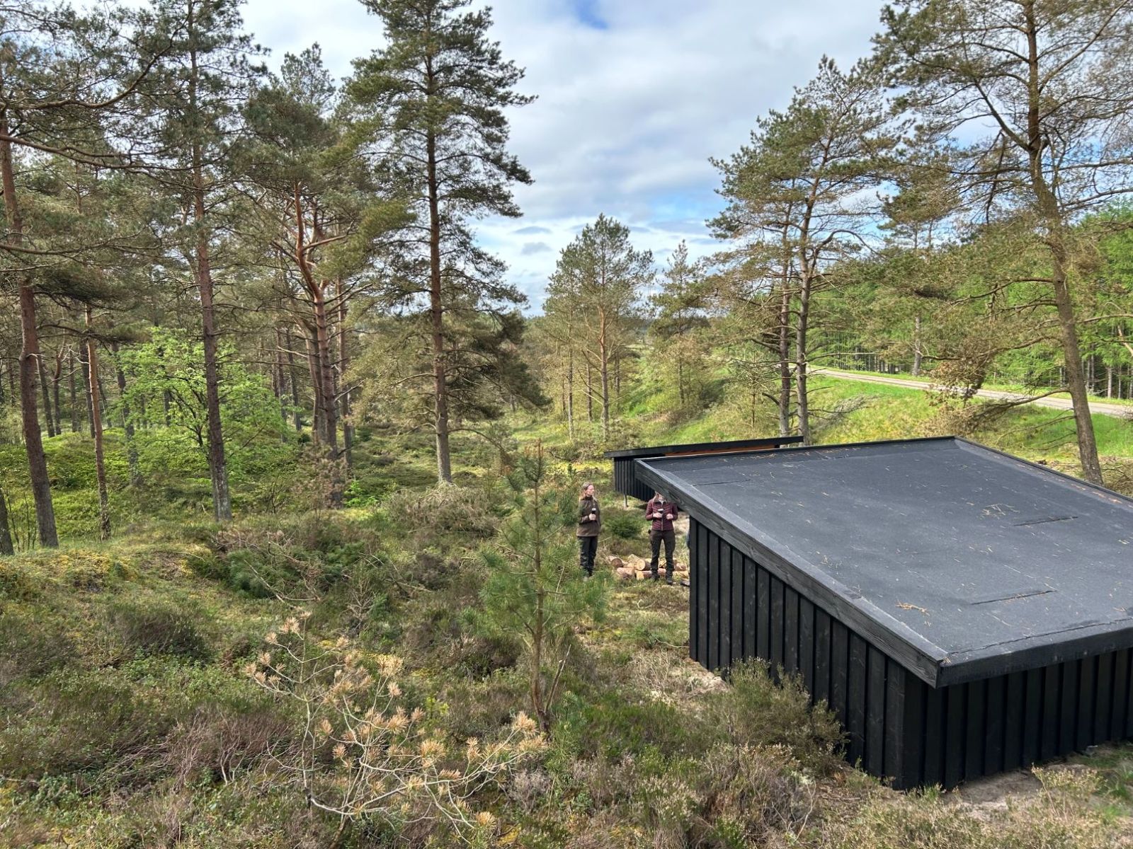 Gludsted Plantage, Den Skæve Bane - shelter 1 – miniature 3