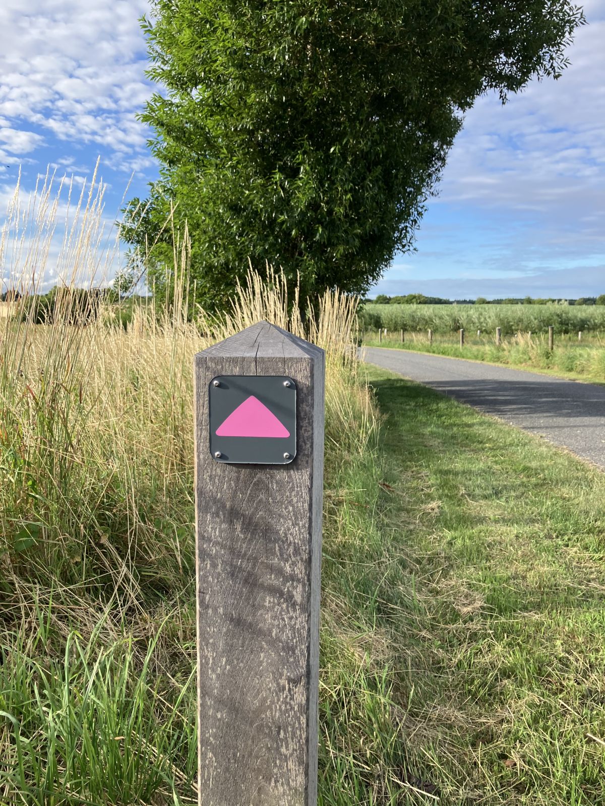 En vandrerutepæl med et markeringsskilt, som visen er pink pil pegende mod højre.