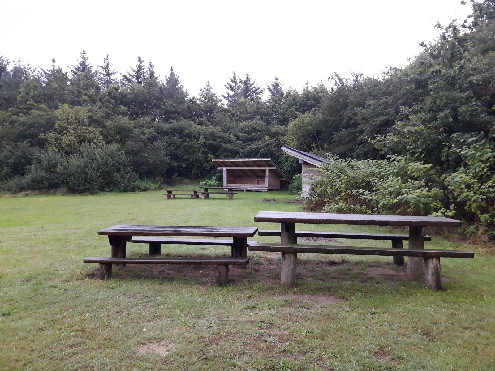 Trædestenen Nebel Bjerg, shelter 1 – miniature 1