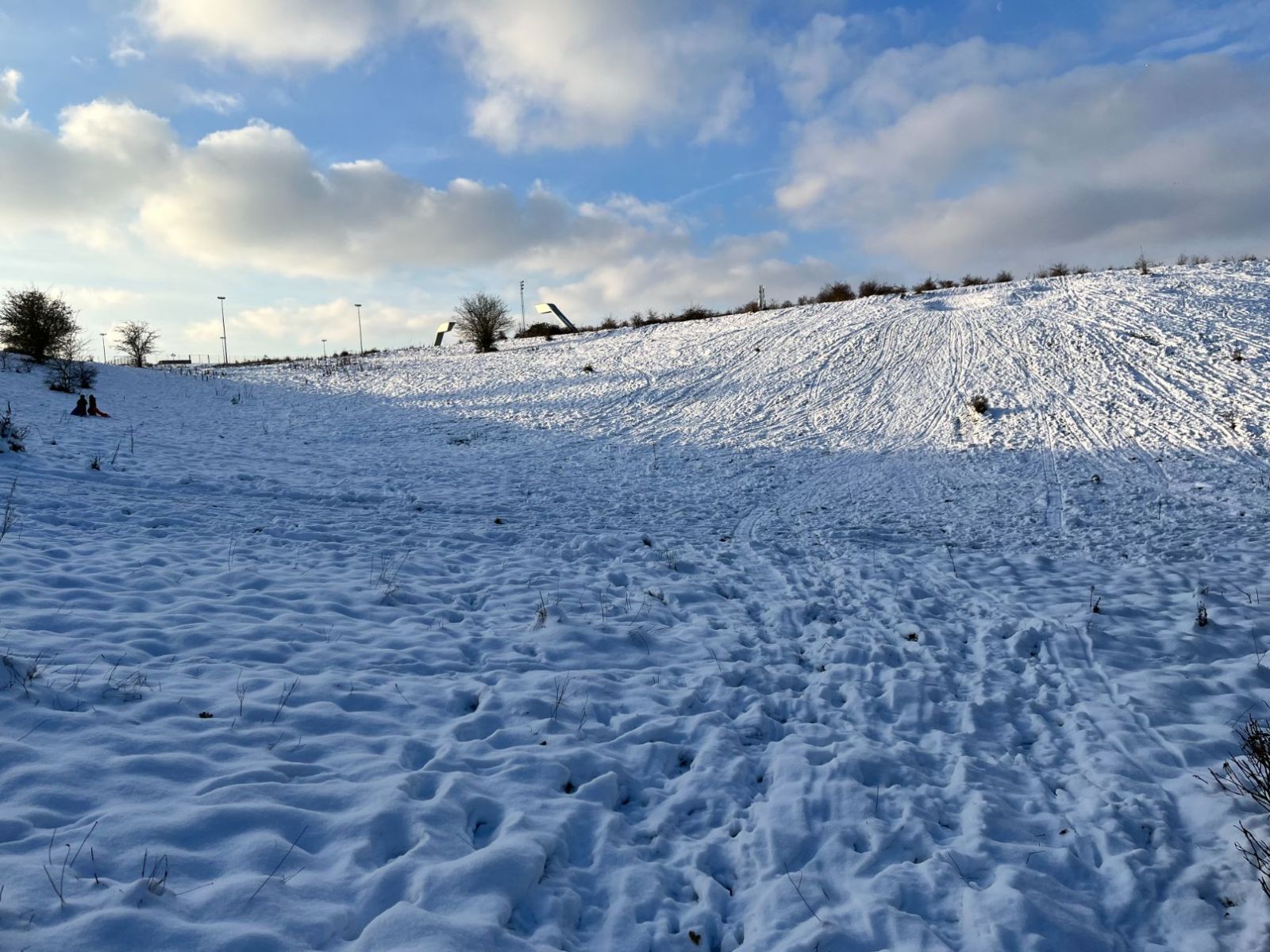 Billede af kælkebakke ved Flintebakken med sne og omkranset af buske