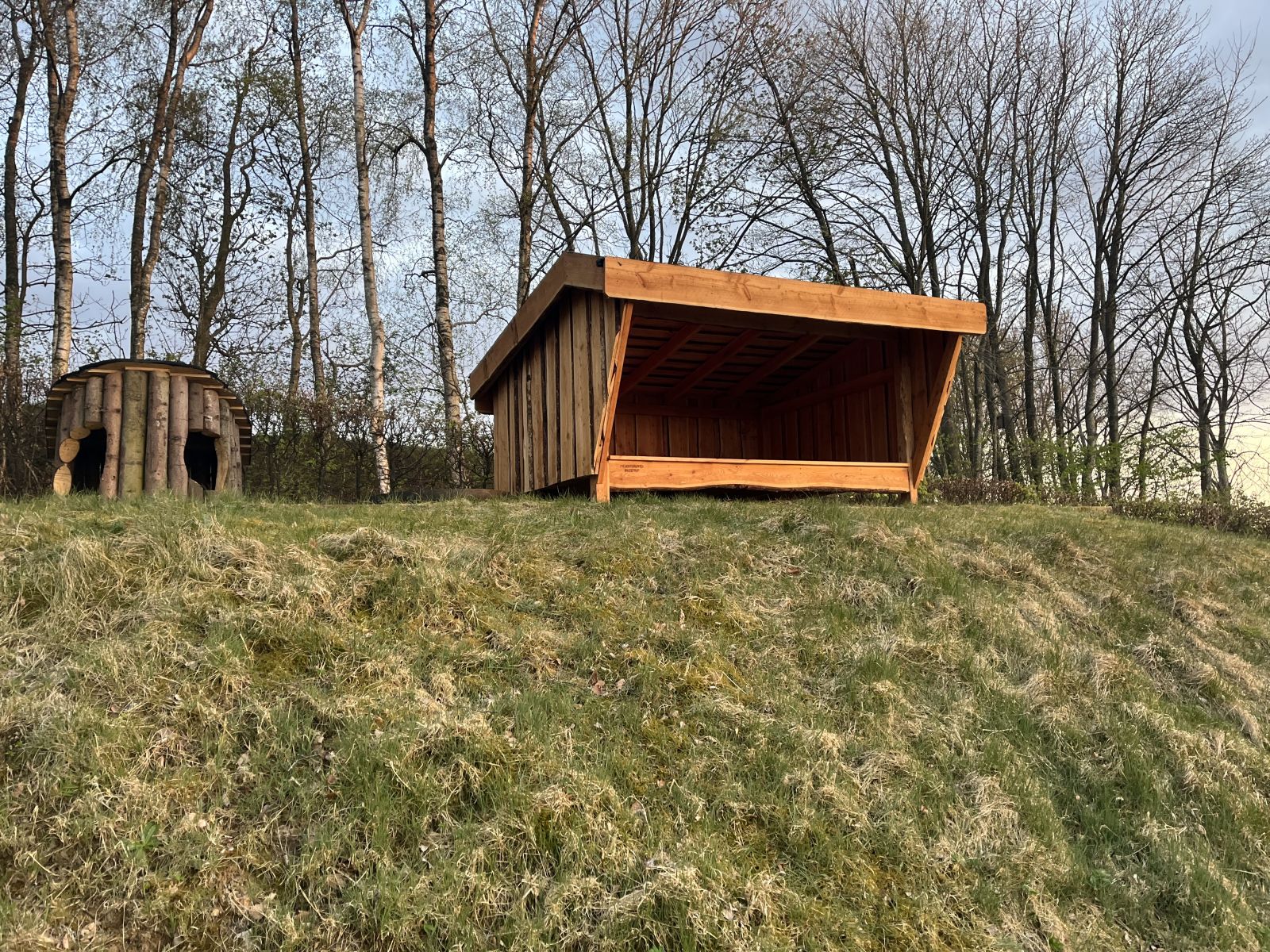 Shelter i True by – miniature 3