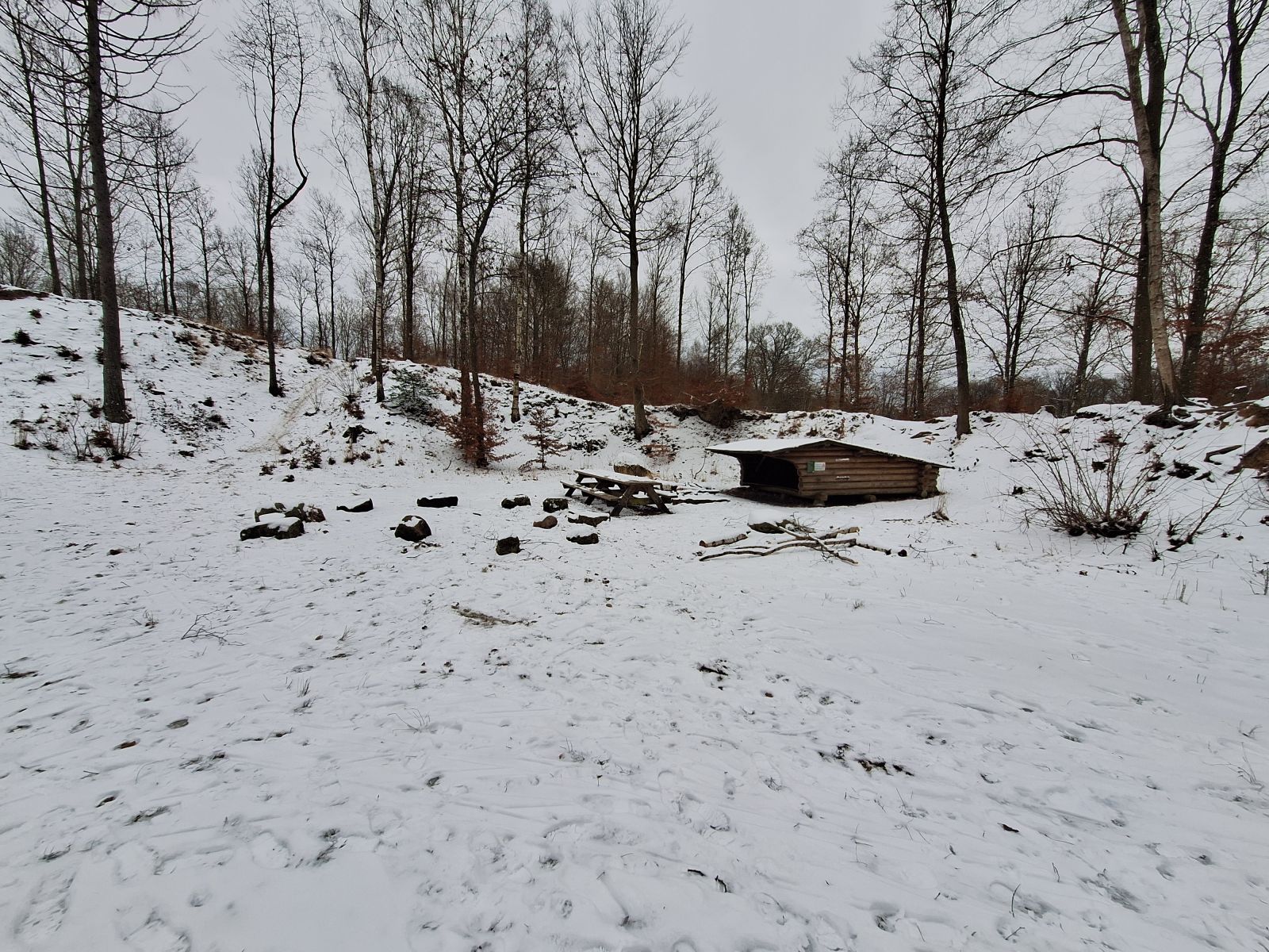 Shelter