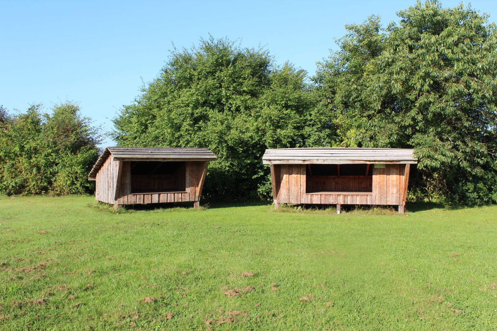 Møborg shelterplads – miniature 2