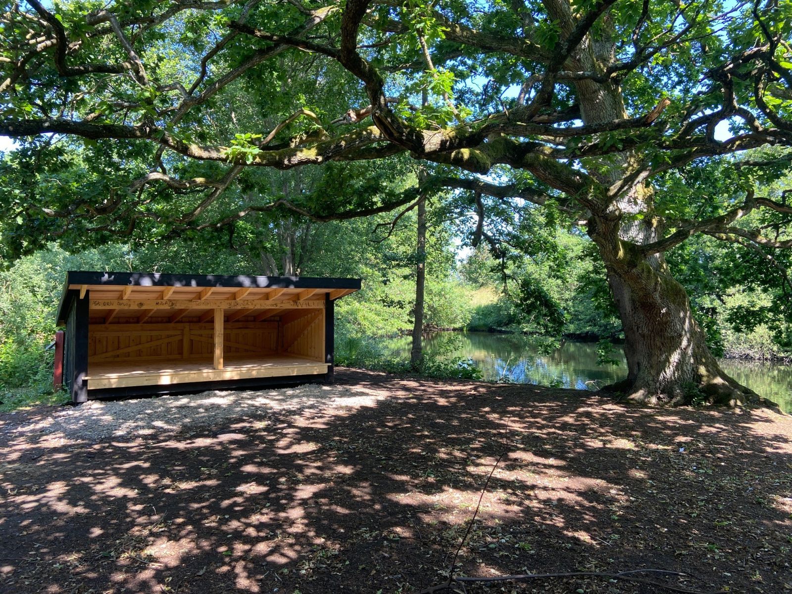Shelter