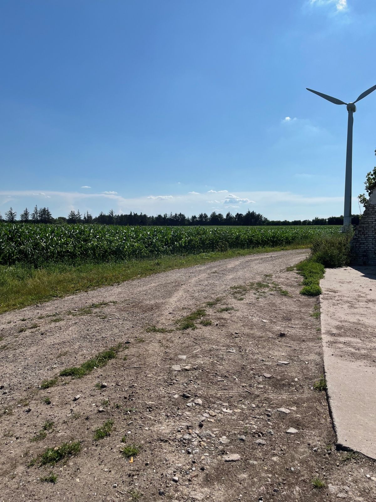 Grusvej mod Gølstrup og Sdr. Rubjerg.