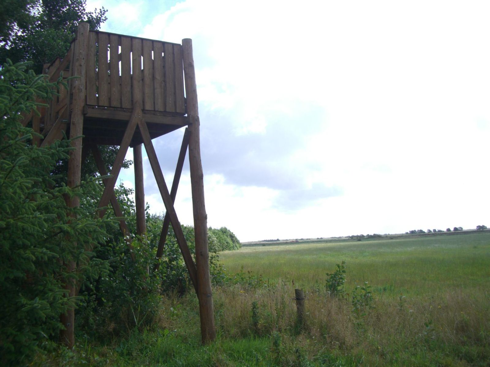 Udsigtstårn i Bannerslund skov