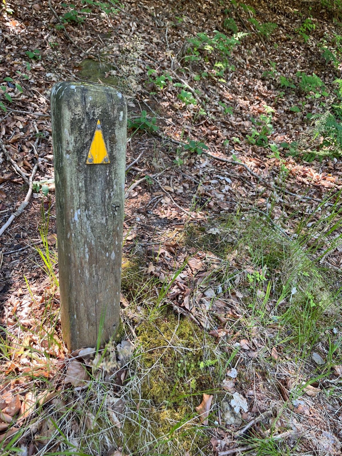 Pæl med gul pil. 