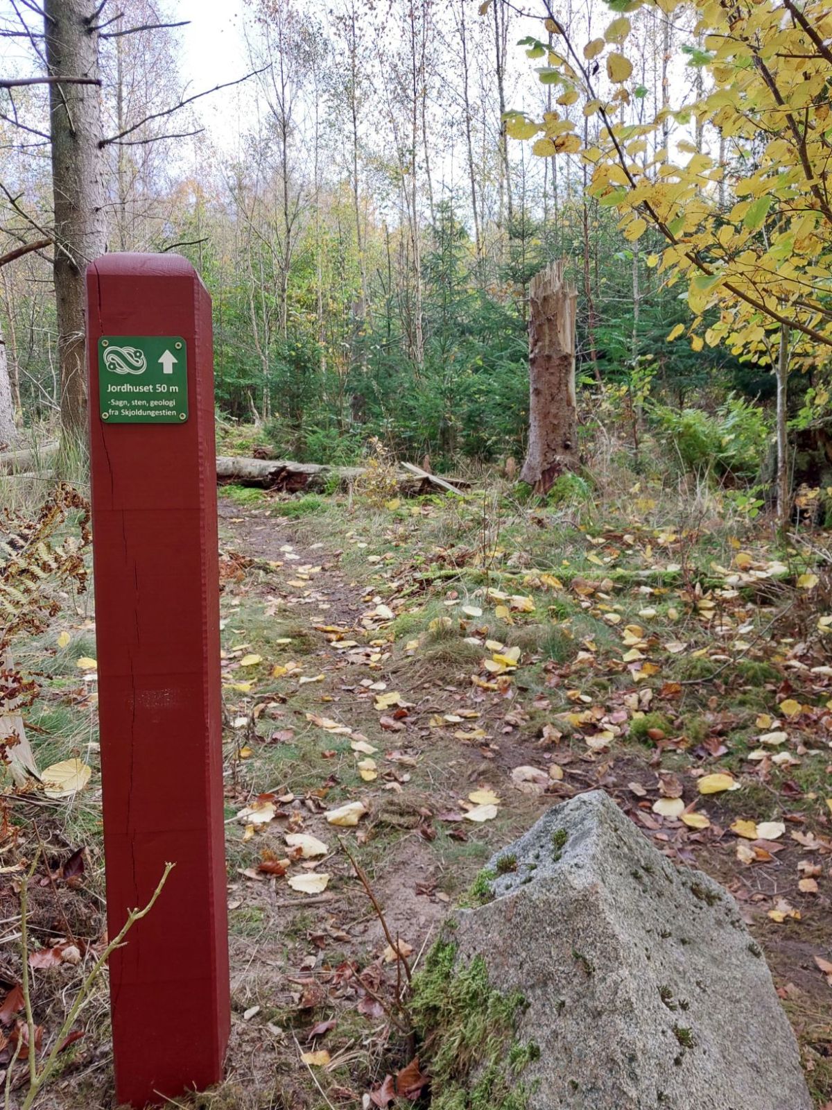 Rød pæl med piktogram markerer indgang til trampsti fra skovvej