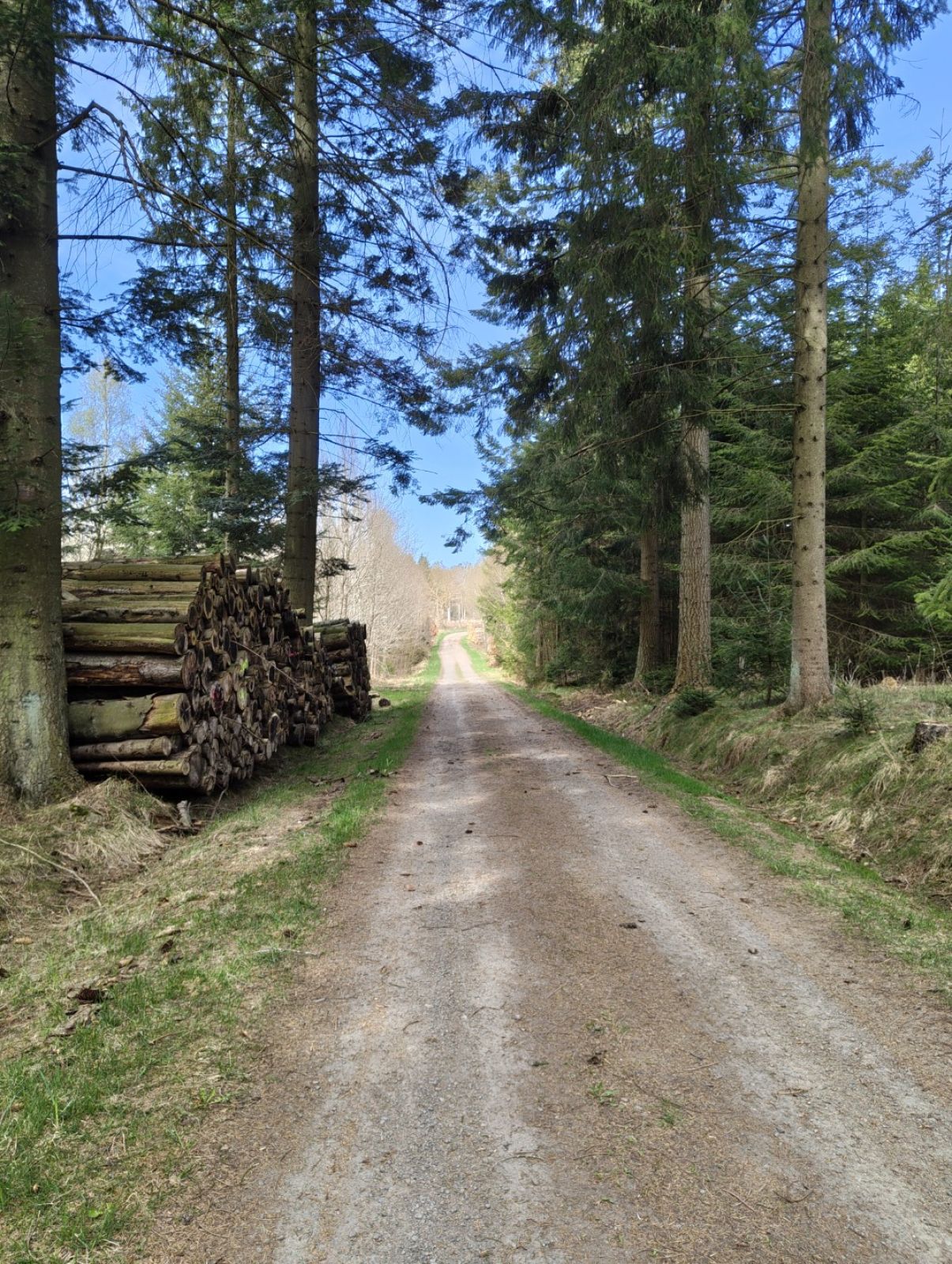 Skovvej.