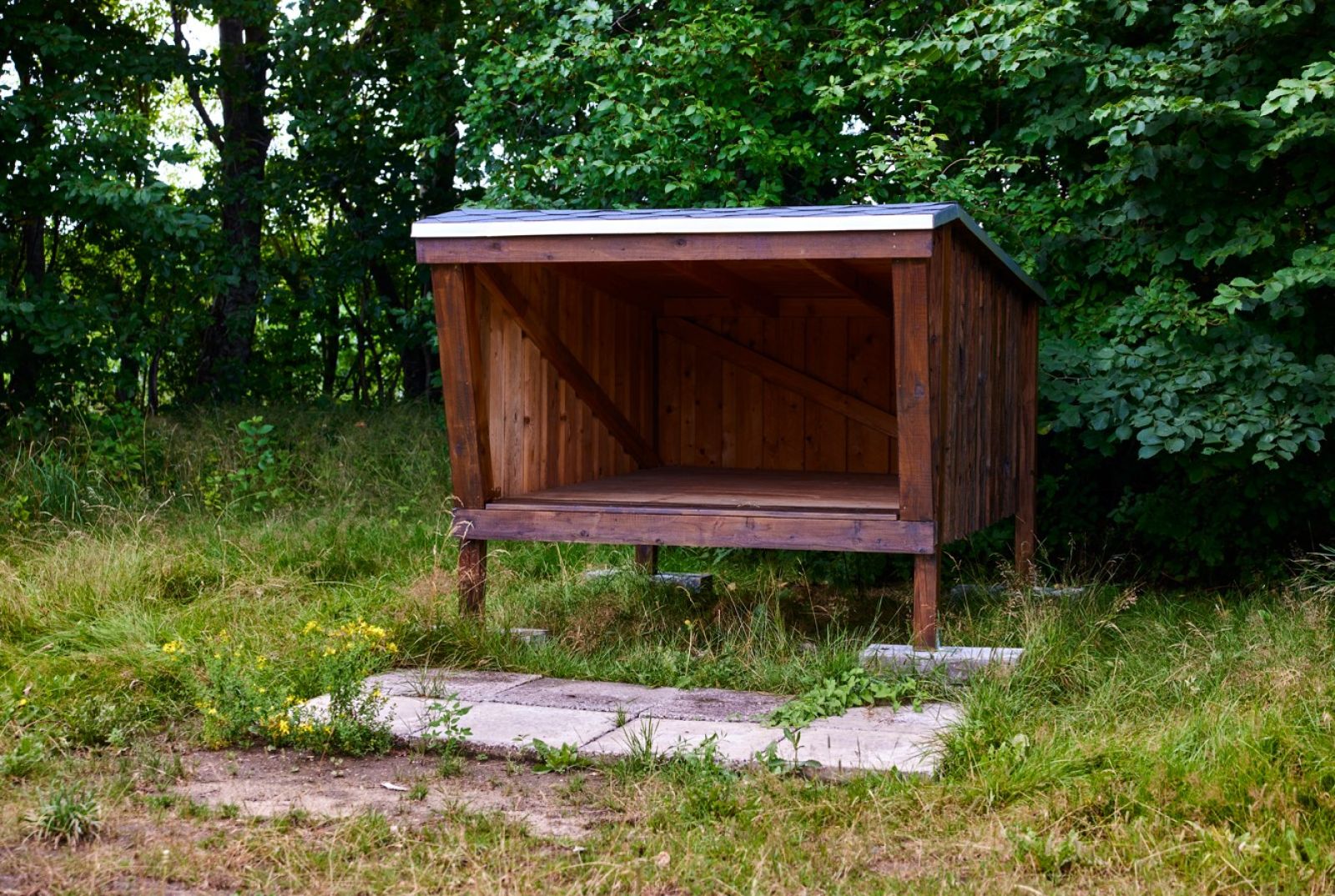 Shelterplads i Svenstrup Bypark. – miniature 5