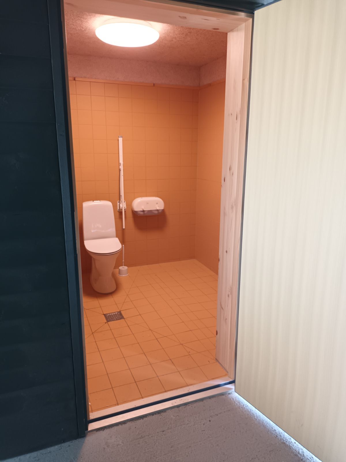 handicaptoilet 