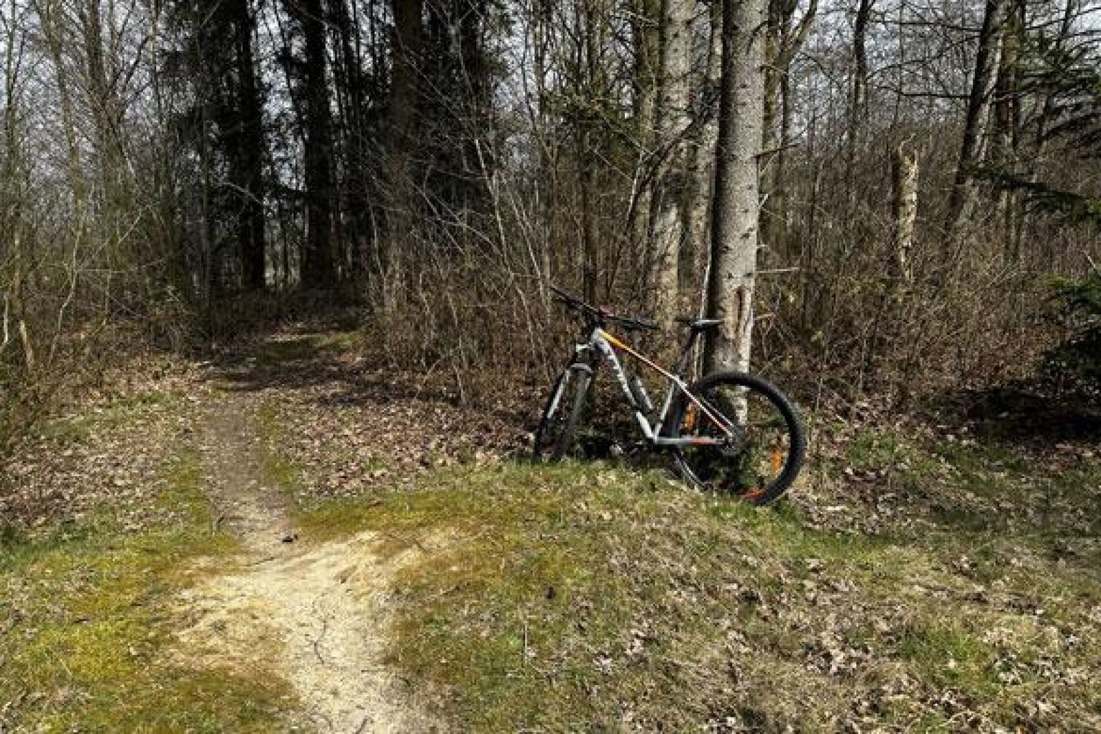 Mountainbikestien i Bramming