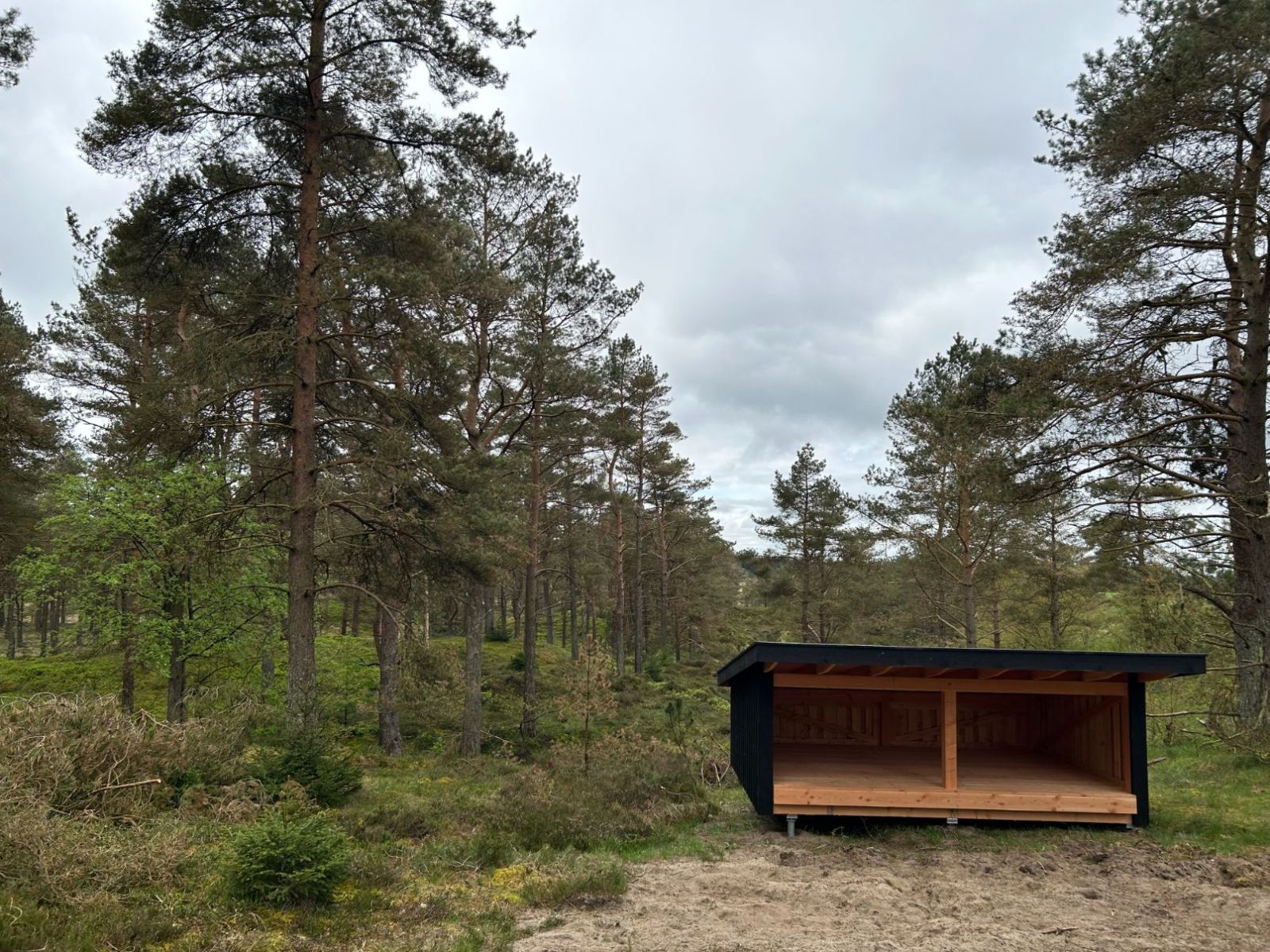 Gludsted Plantage, Den Skæve Bane - shelter 1 – miniature 1