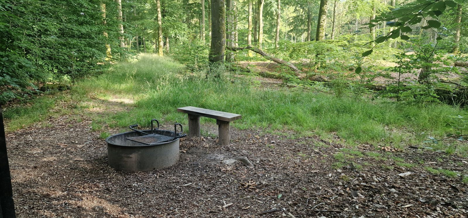 Billedet viser et bålsted med en ca. 30 centimeter høj bålring med en fastmonteret grillrist. Foran bålstedet står en lille bænk uden ryglæn. I baggrunden ses unge og gamle bøgetræer, væltede stammer og vildt græs.