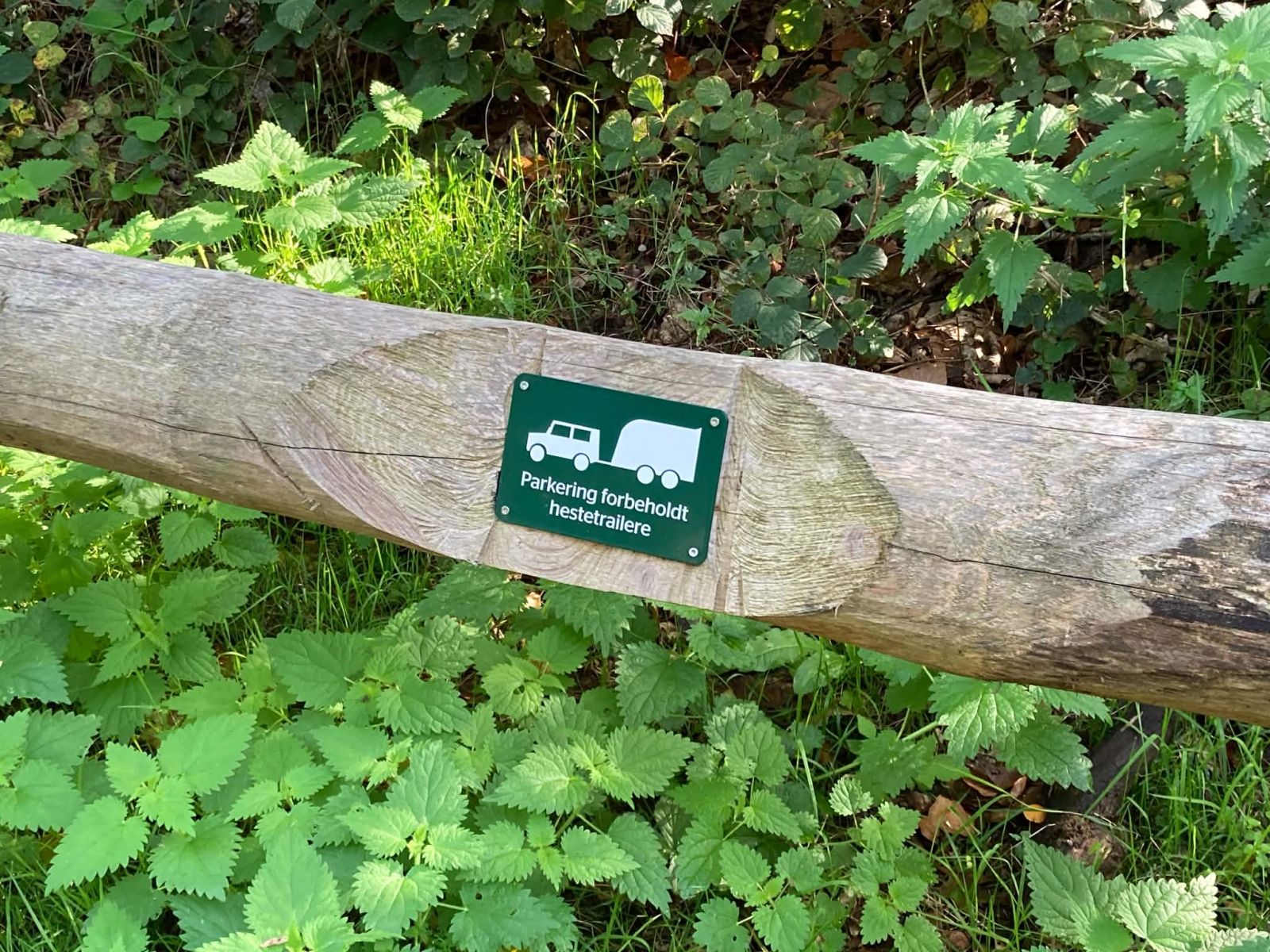 Markering af p-plads til hestetrailere