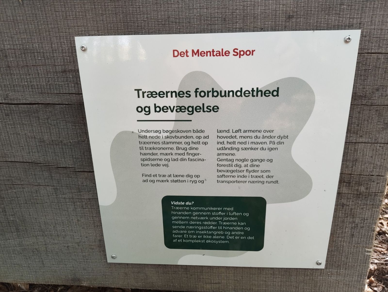 Naturstyrelsen