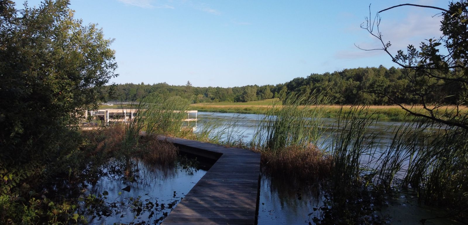 Foto fra træbroforløb