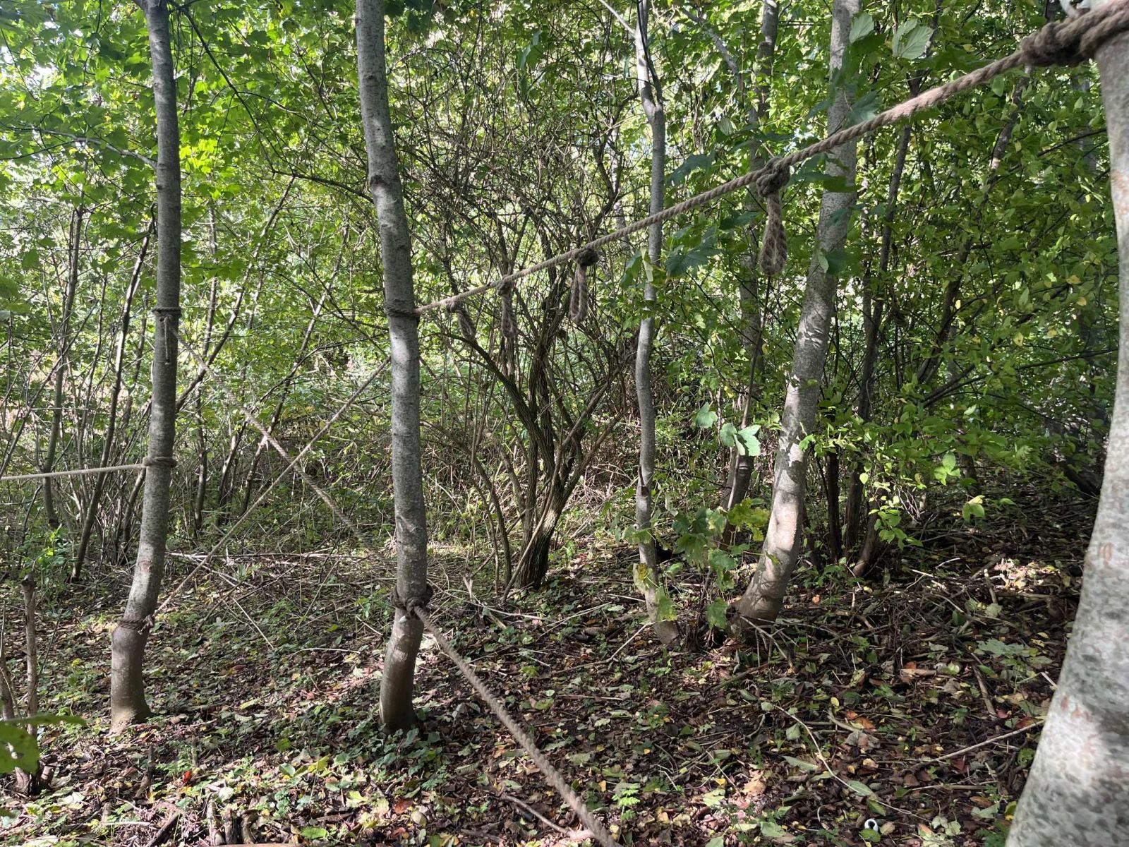 Klemensker Junglesti, shelter in Denmark
