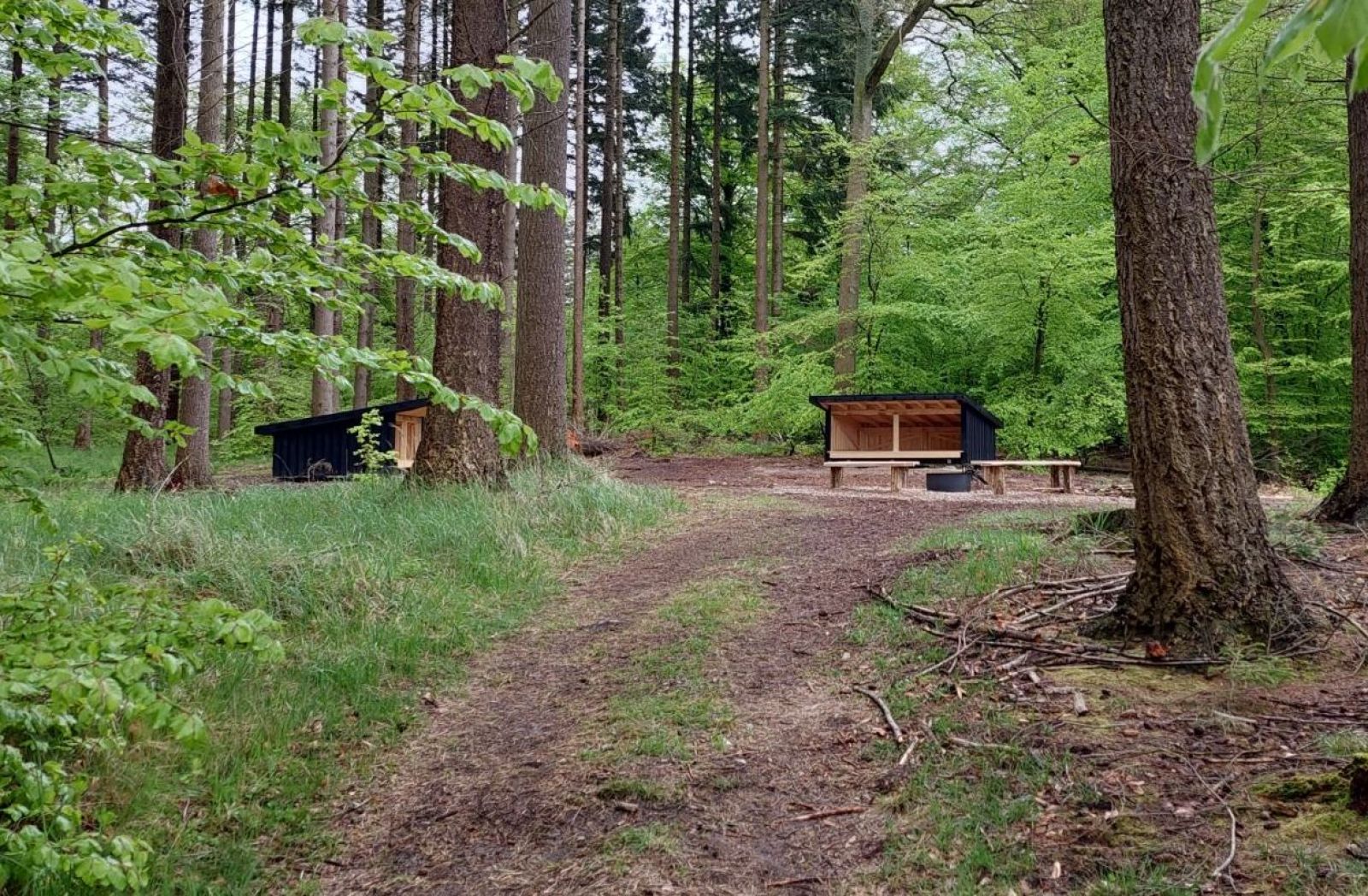 Ganløse Eged, shelterplads med to shelters – miniature 3