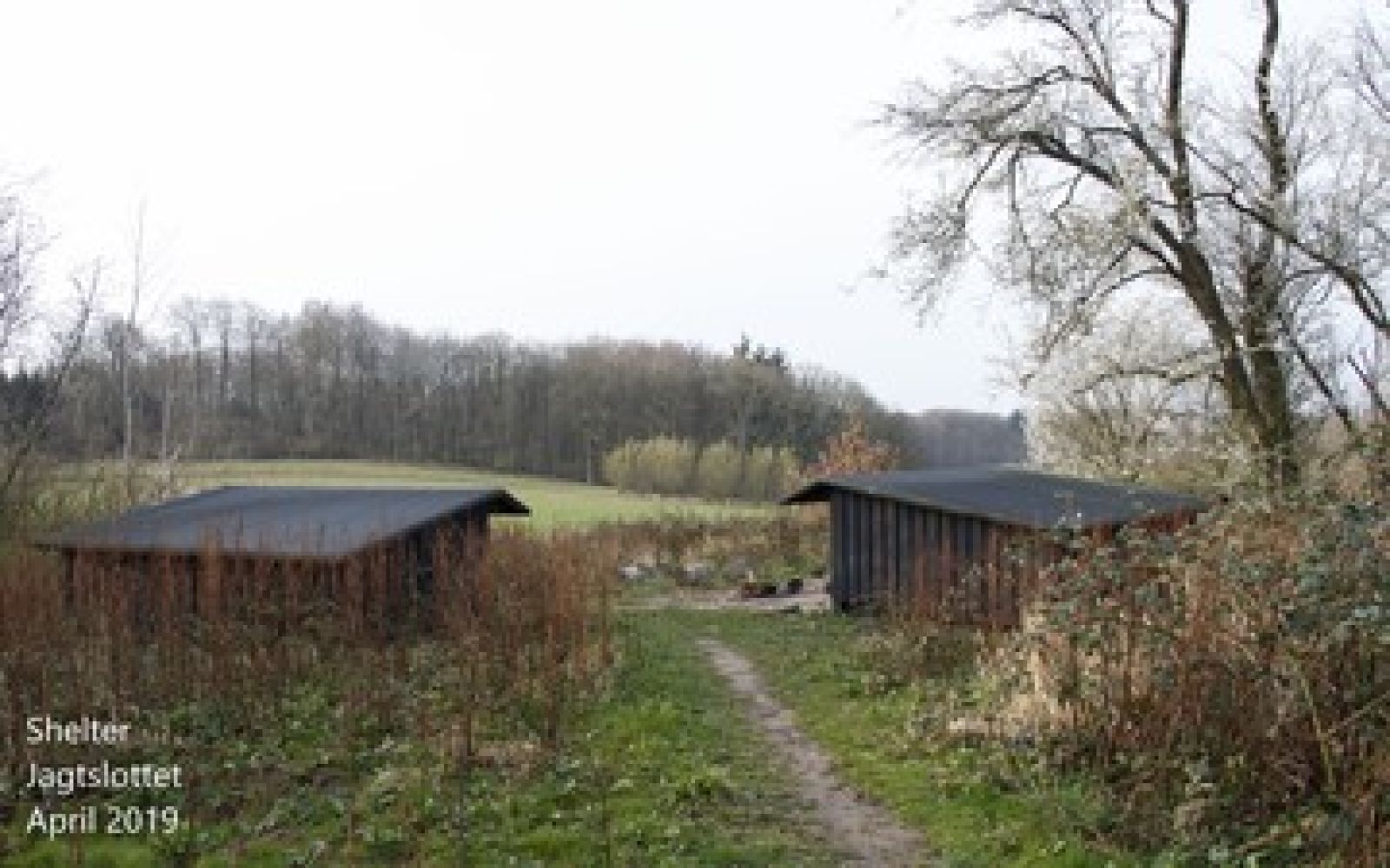 Stien som løber ned til shelterpladsen og ind imellem de to shelters. Marken og skov ses i baggrunden.