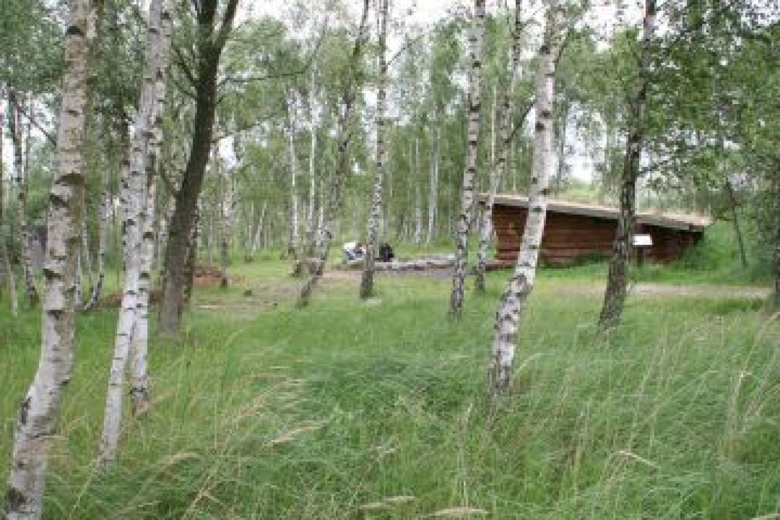 Bålplads ved shelteren Ålen, shelter in Denmark