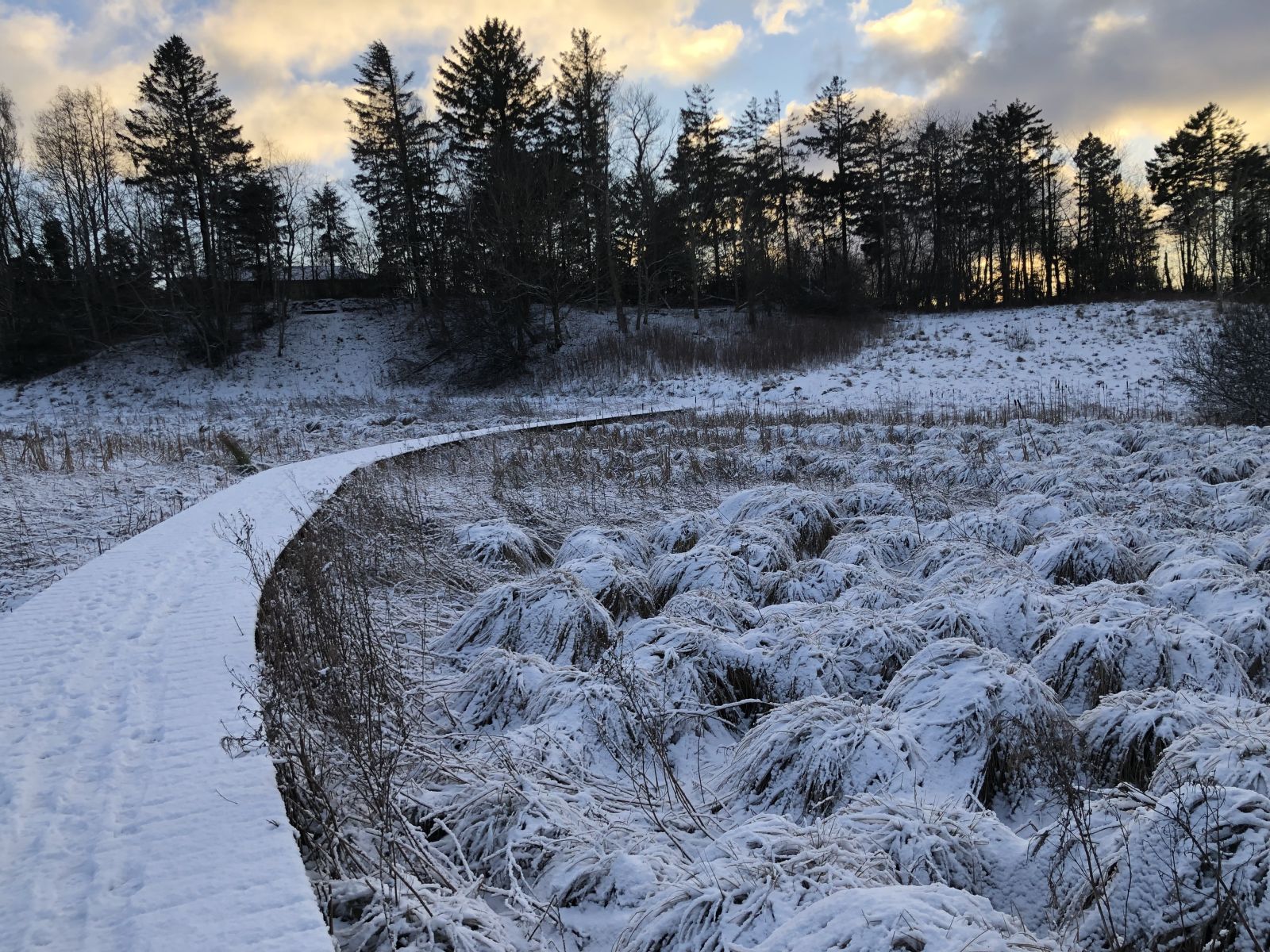 Gangbro i Bejst Vænge.