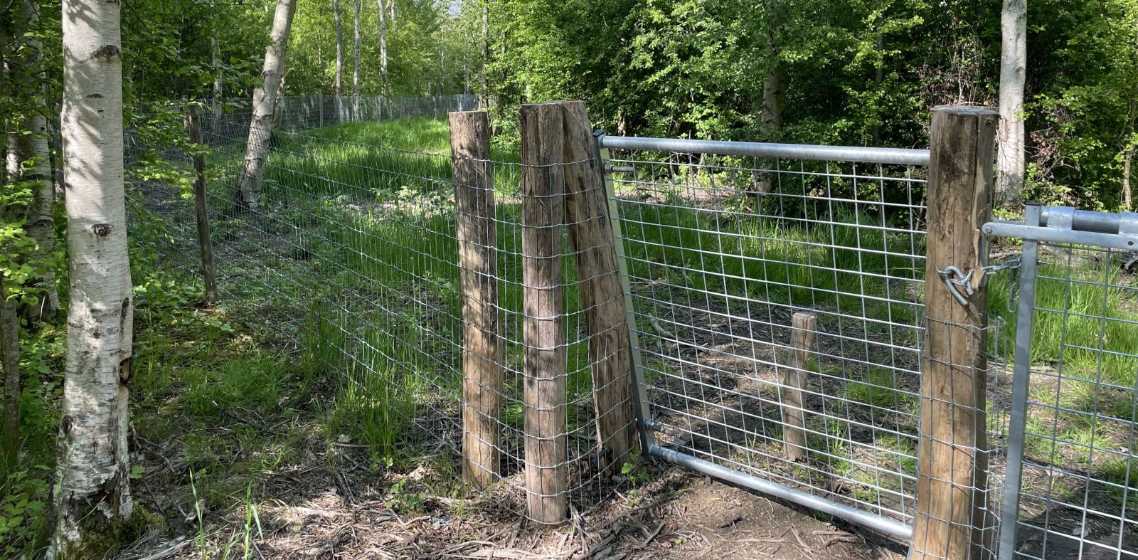 Hundeskov i Vig Naturpark, shelter in Denmark