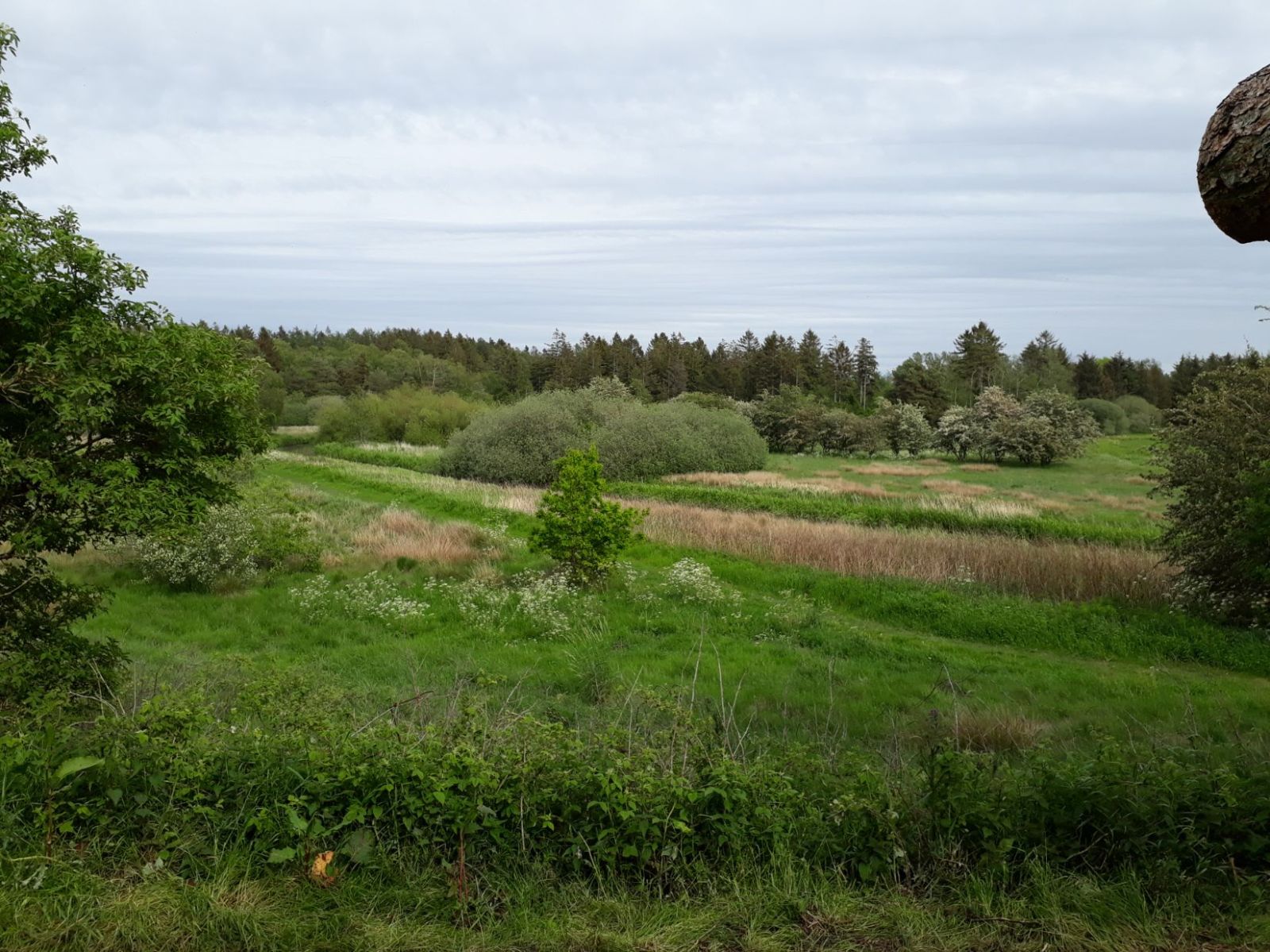 Fårbæk shelterplads – miniature 2
