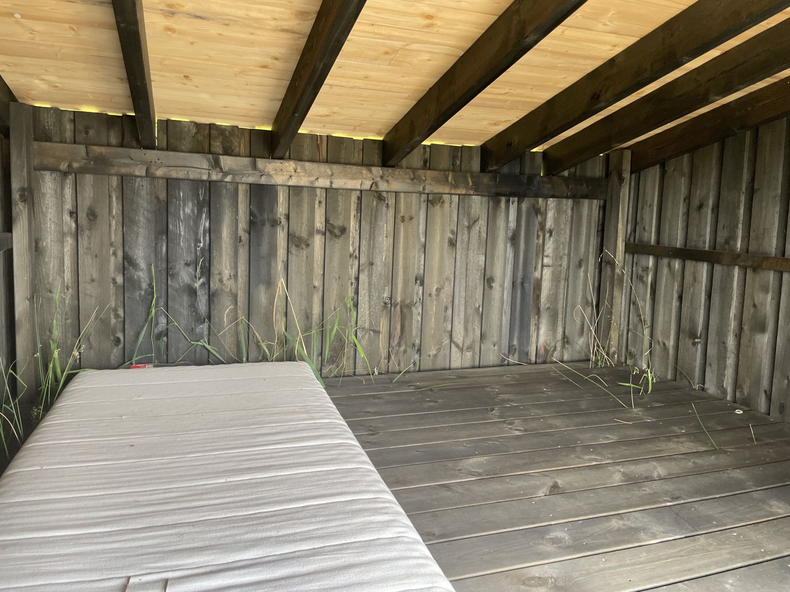 Shelter indvendigt (ved søen)
