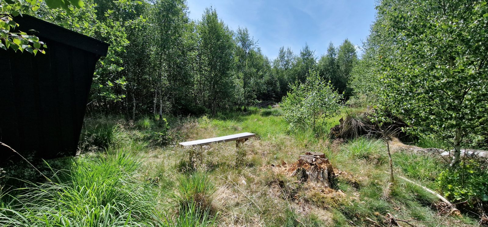 Udsigt over åbent område fra shelteren