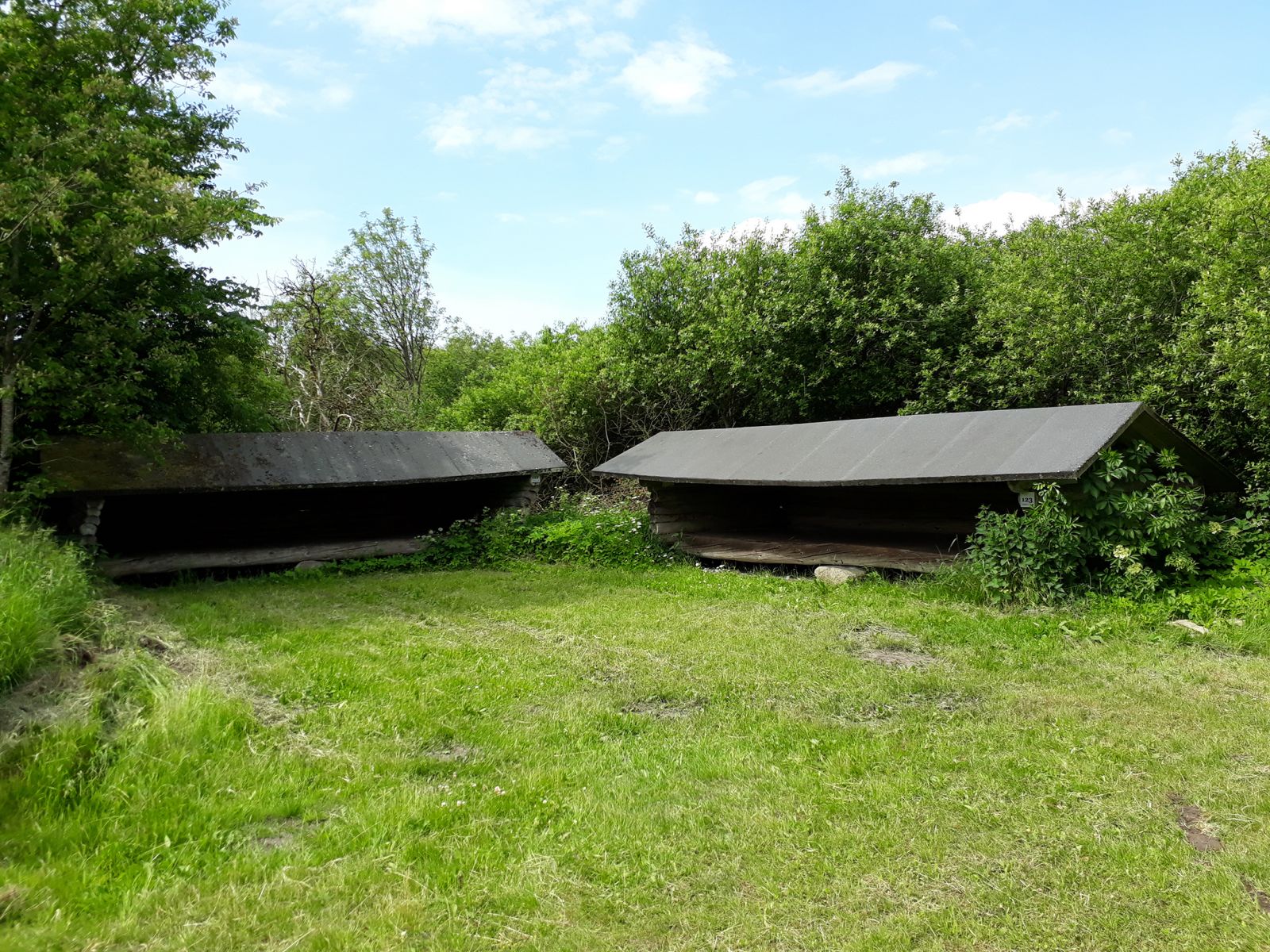 Krattet, ved Simmelkær shelterplads – miniature 2
