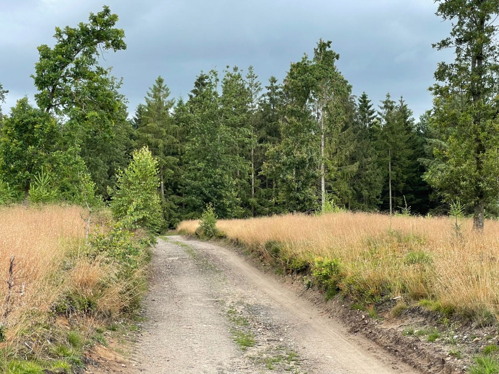 Bornlundvej