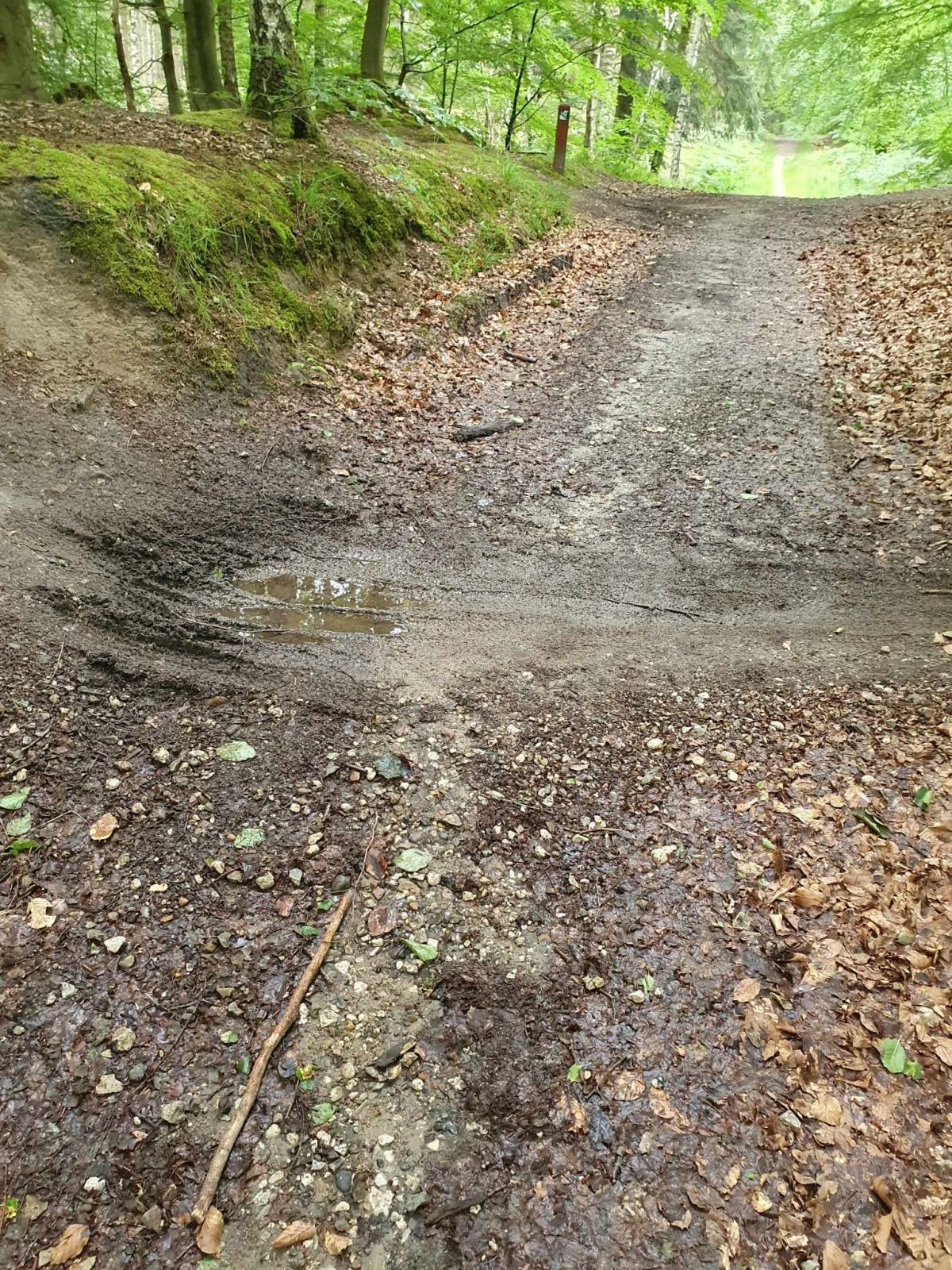 Når der har regnet, kan stien blive ujævn på dét sted, hvor den blive krydset af et MTB-spor.