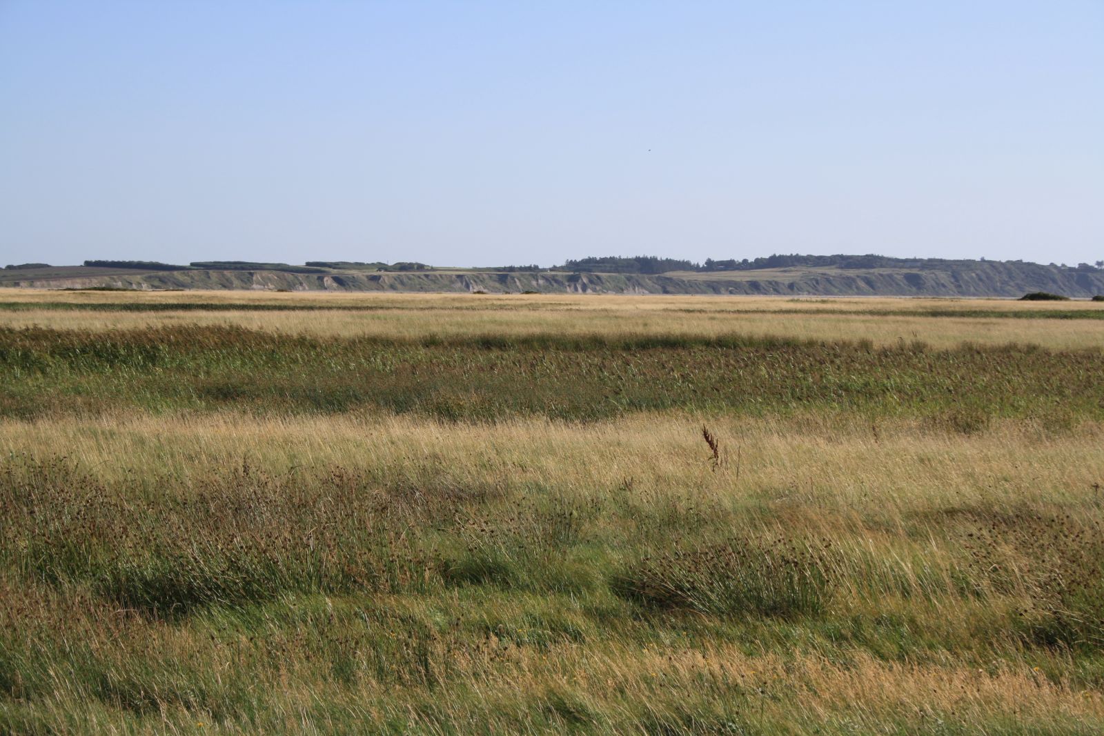 Natursti Oddesund Nord