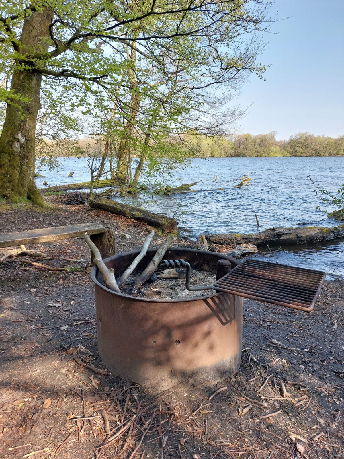 Ryget Skov, shelter ved Farum sø – miniature 4