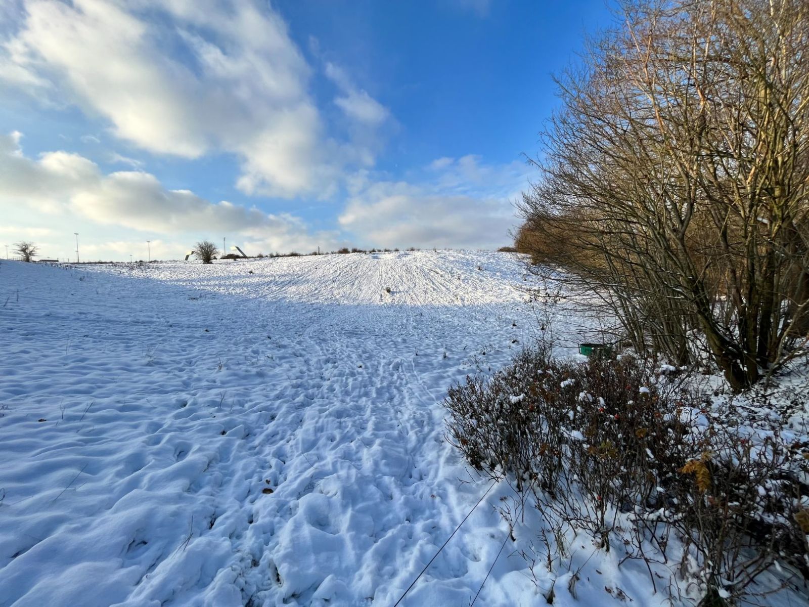 Billede af kælkebakke ved Flintebakken med sne og omkranset af buske