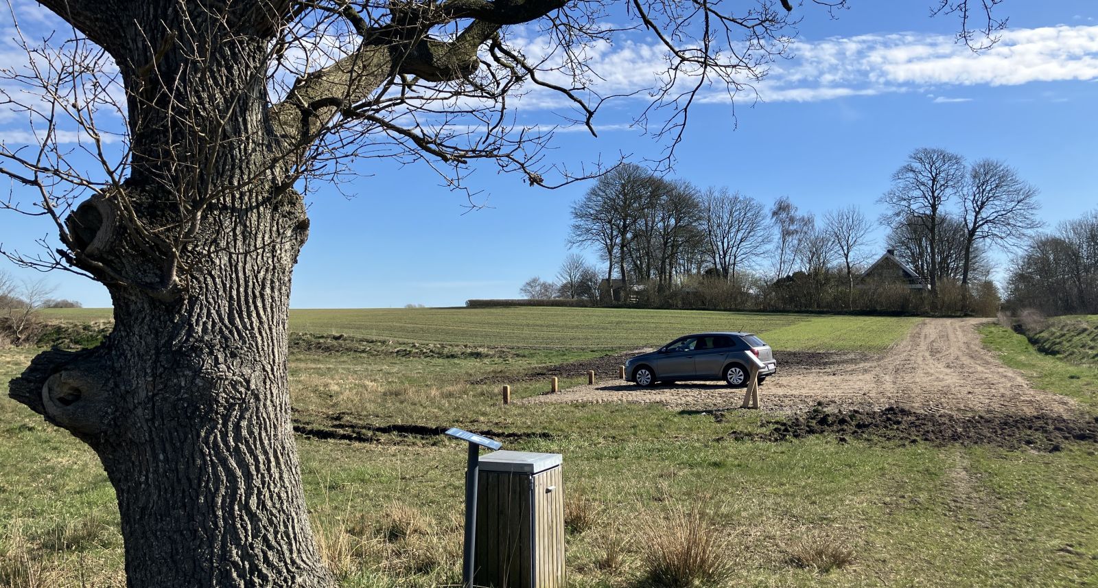Parkeringsplads med bil i baggrunden og egetræ i venstre side forrest