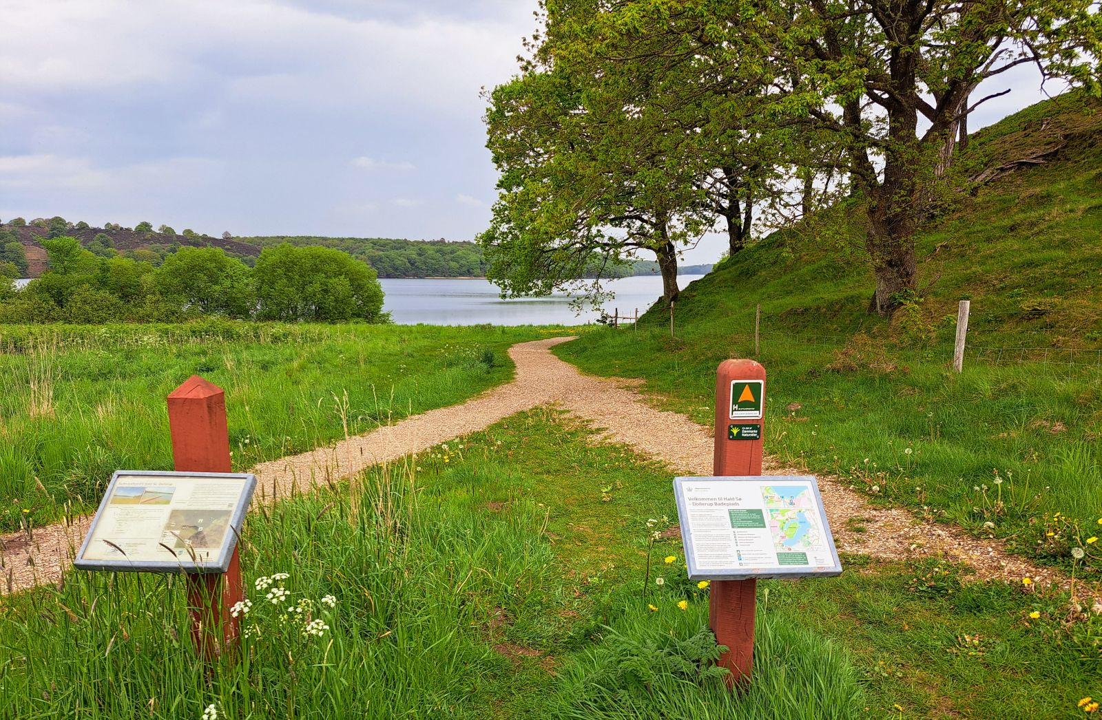 Infotavler ved parkering/badeplads ved Hald sø