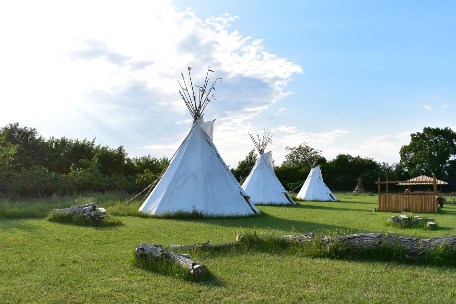 Tipi og shelters i frugtplantagen – miniature 1