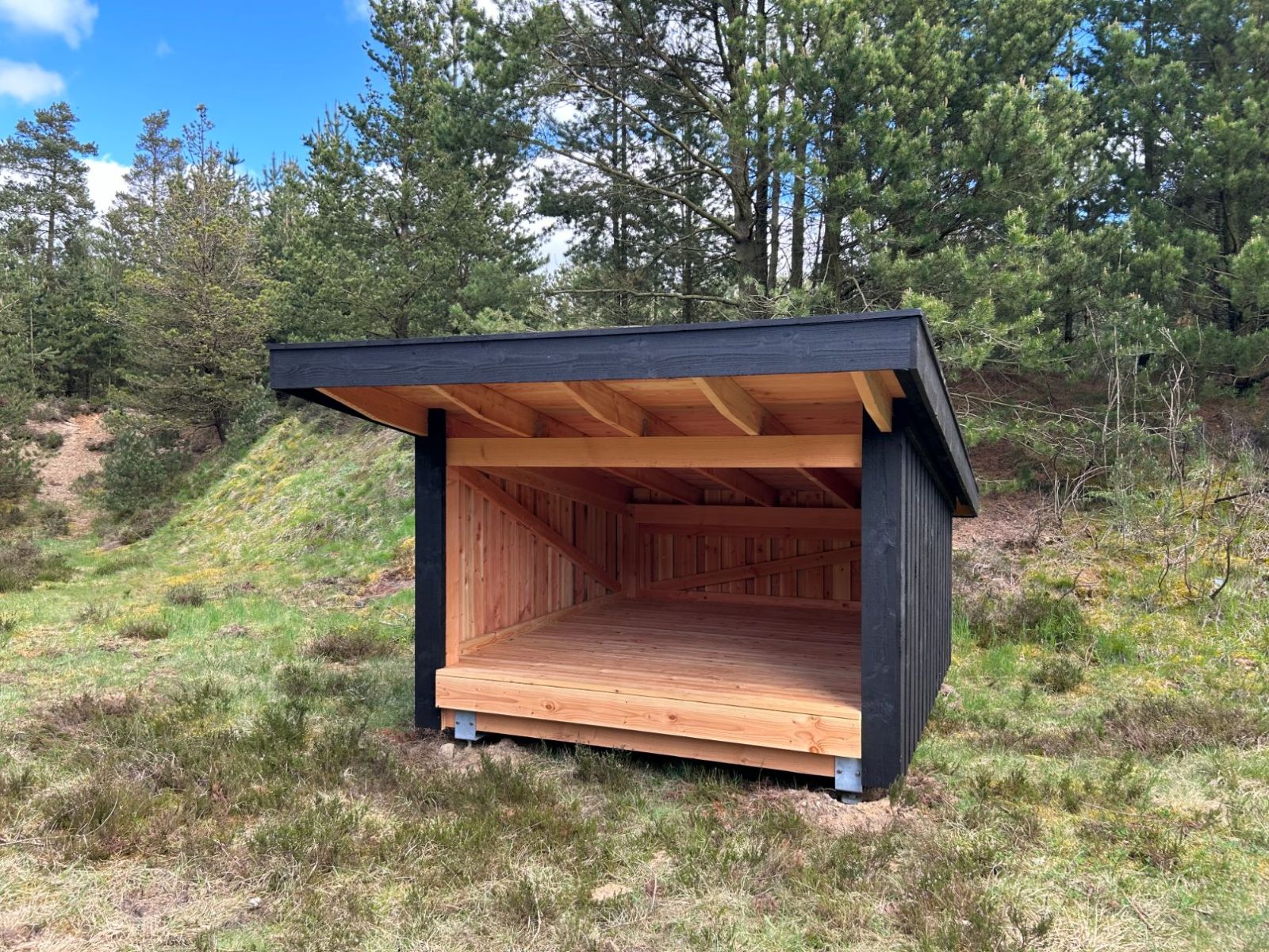 Den gamle grusgrav, Nørlund Plantage - shelter 1 – miniature 3