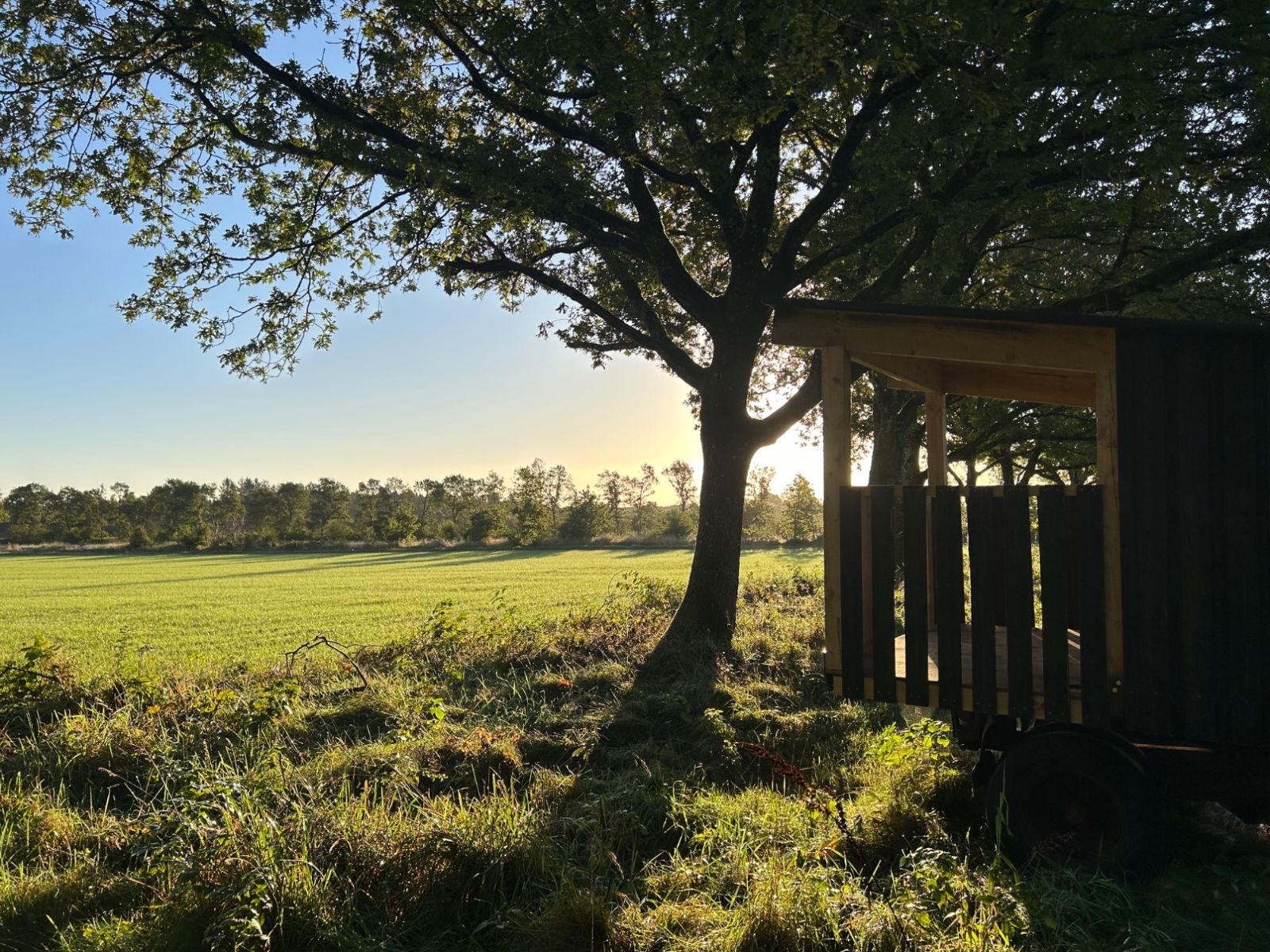 Vejs Ende Shelter – miniature 3