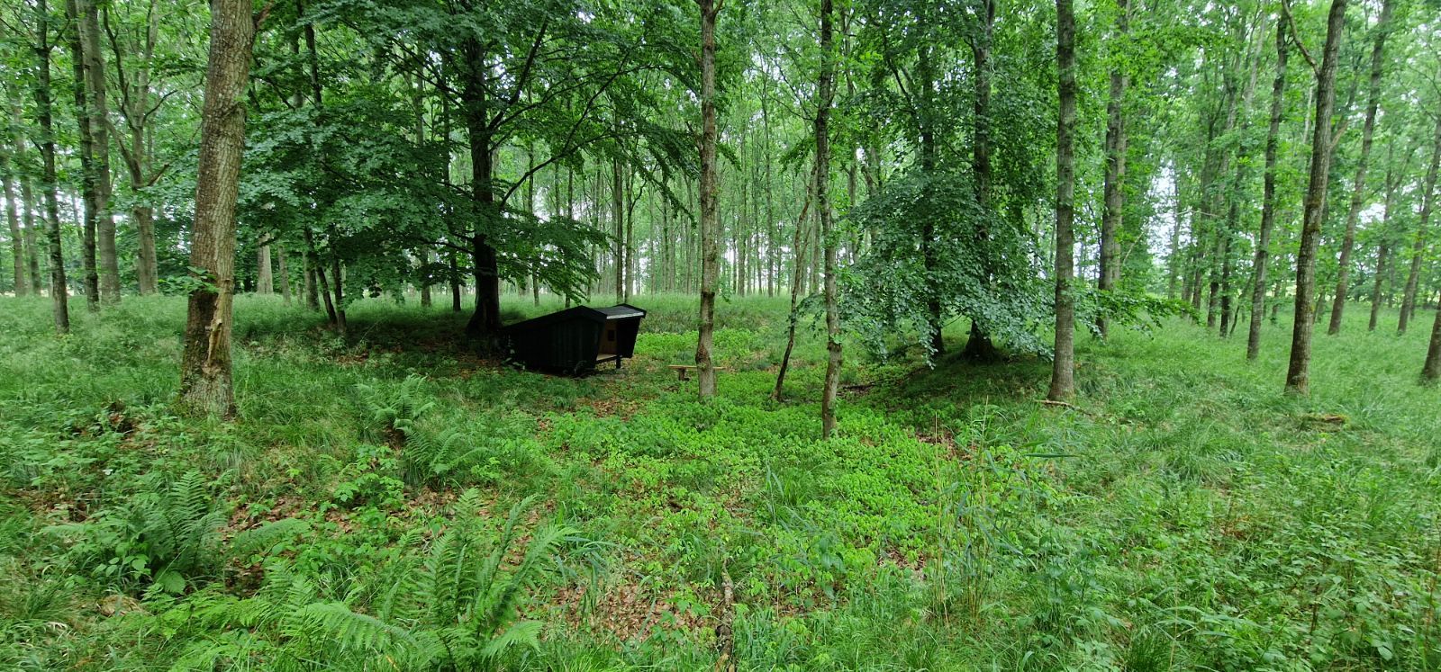 Vendehalsen shelter – miniature 3