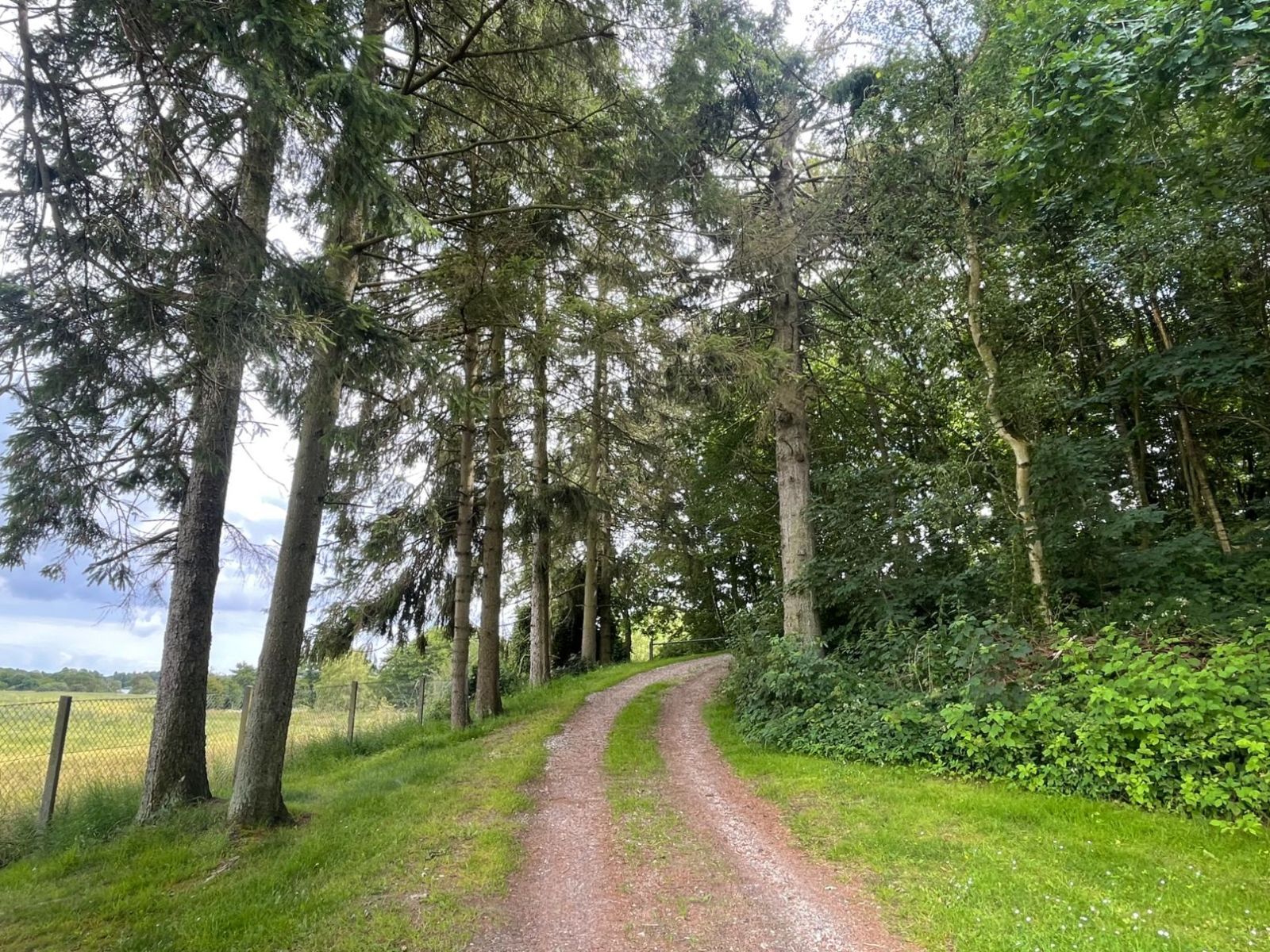 Dakbjerg