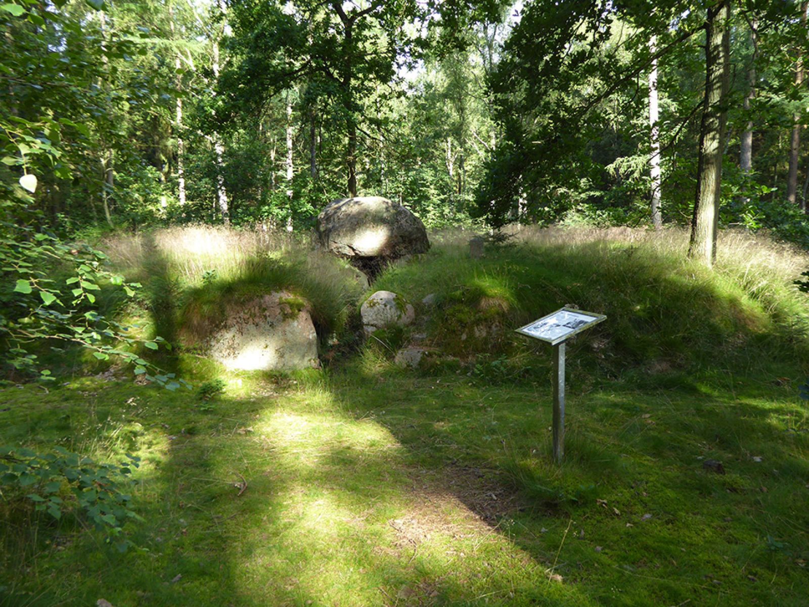 Dysse i Tåstrup Fællesskov